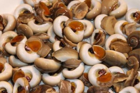 香螺的功效与作用,这四个女人吃香螺的营养价值功效