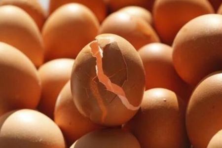 鸡蛋壳的功效与作用，这四个鸡蛋壳营养价值