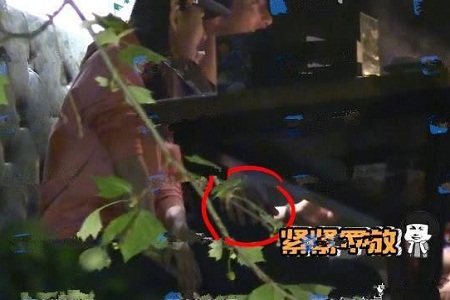 演员窦骁恋情疑被曝光,神秘女子是赌王千金何超莲?