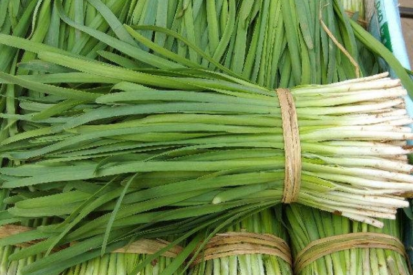 夏季补肾，6种夏季养肾佳品