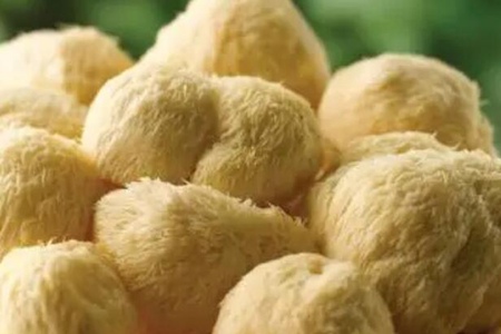 养胃吃什么食物最好?这四个食物营养健康护胃