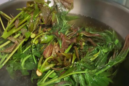 香椿芽怎么保存才新鲜?这三个香椿芽的储存方法