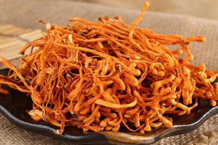 虫草花的功效与作用,这五个女人吃虫草花的营养价值