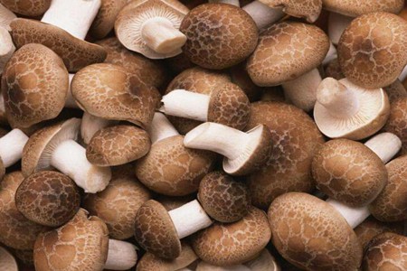 软化血管的食物有哪些？这五种软化血管的食物和水果