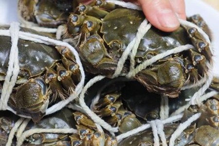 螃蟹怎么吃?油焖大闸蟹的做法窍门