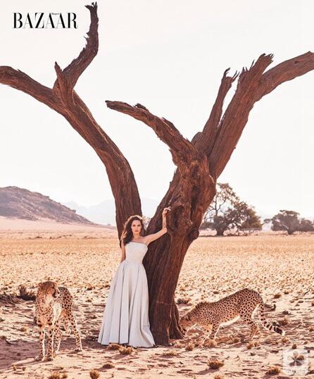 width=