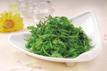 菊花脑的功效与作用,这三个女人吃菊花脑的营养价值