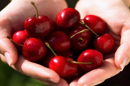 吃樱桃的好处有哪些?这四个樱桃的营养价值美容养颜