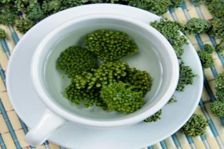 三七花泡水喝有什么功效和作用？这五个女人三七花泡水喝的功效