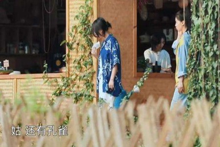 张婧仪周迅什么关系，张婧仪个人资料背景介绍