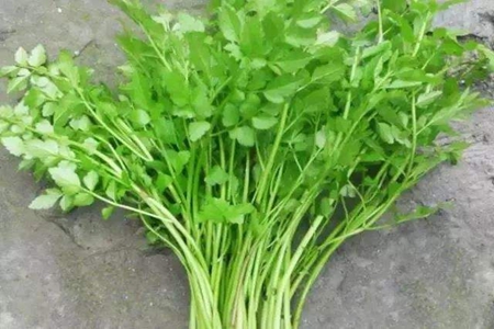 冬季适合吃什么食物,这四种食物美容养颜滋补身体