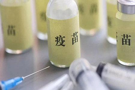 女人要打的疫苗有哪些？这四种疫苗女性必须要及时接种！