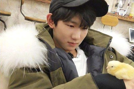 没有王源养不胖的宠物,明星们爱宠会是怎么样