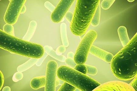 益生菌对女人有什么好处?益生菌的作用详情介绍!