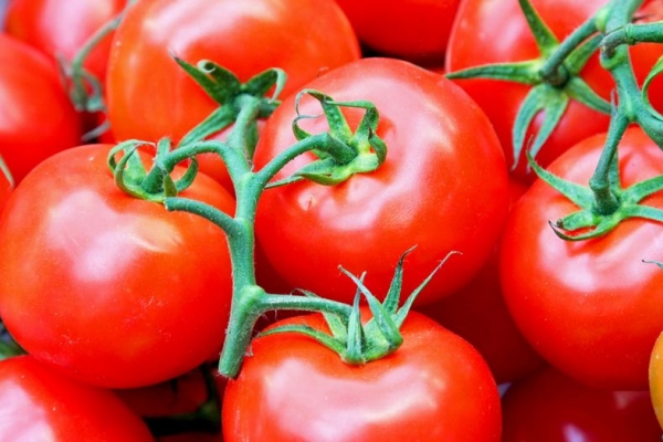 女性脑血管堵塞的治疗方法