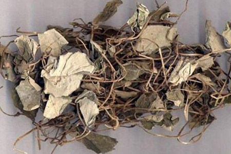 金钱草的功效与作用,这四个金钱草泡水喝的功效