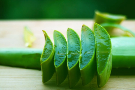 芦荟的功效与作用,这五个功效对女人延缓衰老