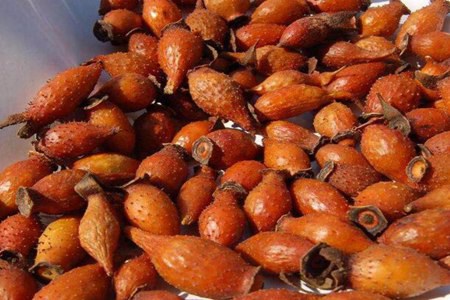 金樱子的功效与作用,这3个金樱子的好处能增强男性性能力