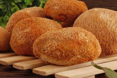 蘑菇的功效与作用，这五个蘑菇的种类食物营养功效