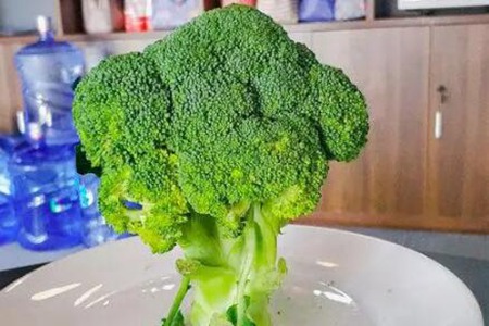 肝代谢不好吃什么调理?这五个食物多吃养肝护肝