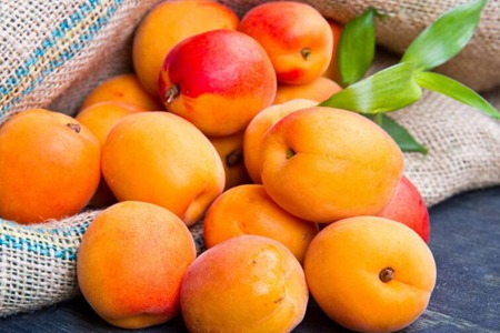 杏子的功效和作用是什么?五个女人吃杏子的营养价值