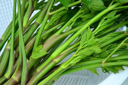 水芹菜的功效与作用,这五个女人吃水芹菜的营养与功效