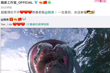 魏晨水下求婚成功大钻戒成亮点,女友系相恋多年大学同学