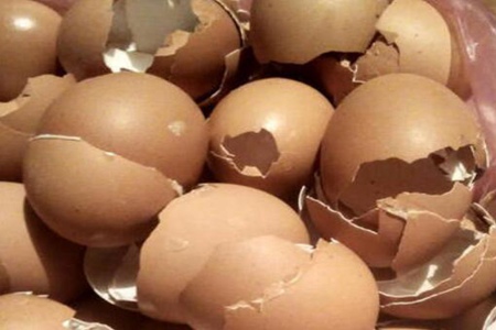 鸡蛋壳的功效与作用，这四个鸡蛋壳营养价值