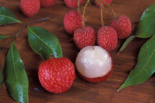 夏季补肾，6种夏季养肾佳品