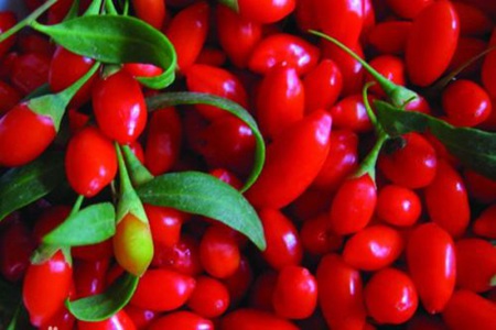 枸杞怎么泡喝才有效？枸杞搭配这5种食材泡着喝身体更健康