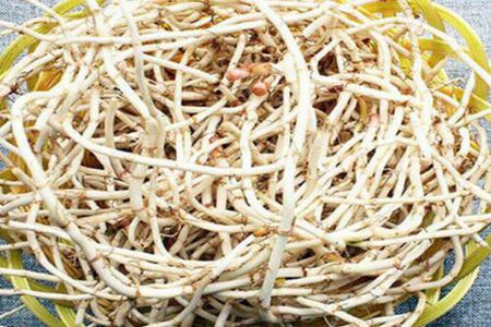上火吃什么可以降火？这四个食物上火降火最快的速度