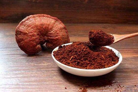 灵芝孢子粉的功效与作用