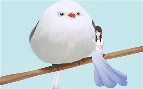 离婚不分手电影简介和评价