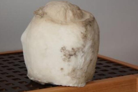 太岁是什么东西?这五个太岁肉灵芝的功效和作用