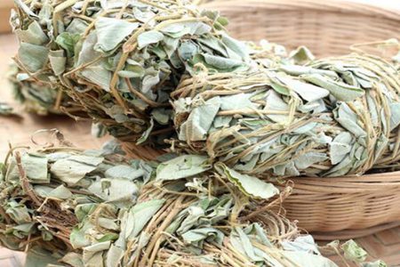 金钱草的功效与作用,这四个金钱草泡水喝的功效