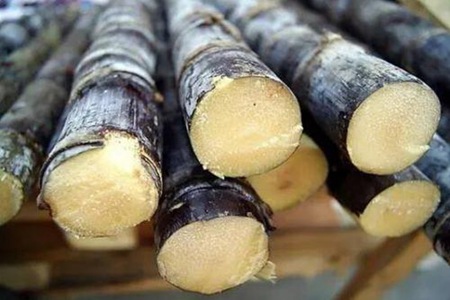 孕妇可以吃甘蔗吗?孕妇一天可以吃多少甘蔗