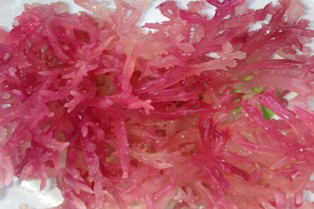 麒麟菜的功效与作用,这五个吃麒麟菜的营养价值