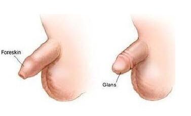 男生青春期发育过程图