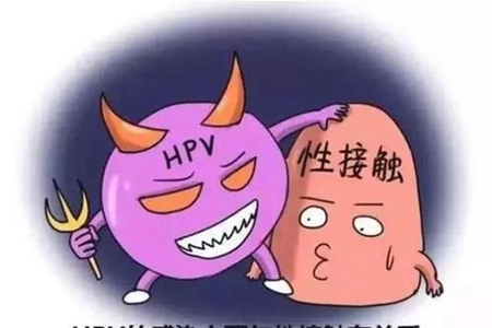 哪些人容易感染HPV病毒?怎么预防HPV病毒“找上门”