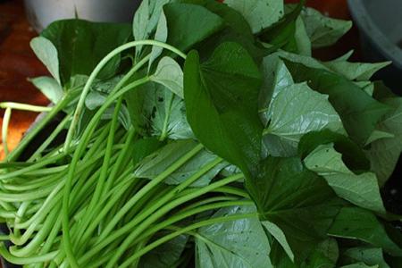 红薯叶的功效与作用,这五个女人吃红薯叶的营养功效