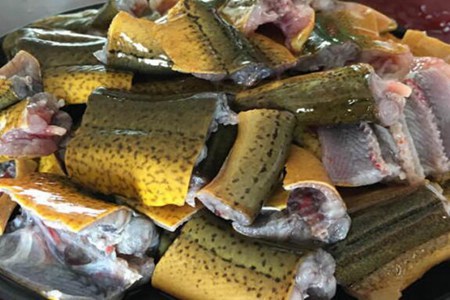 黄鳝的功效与作用,这五个女人吃黄鳝的营养价值和功效