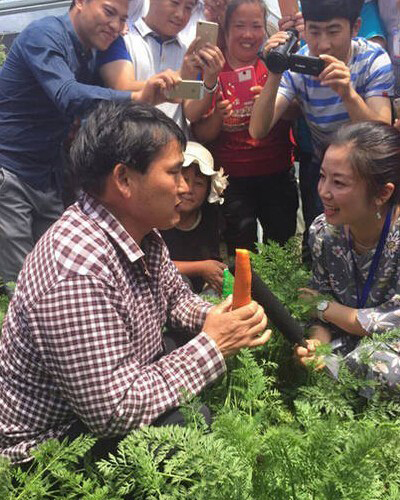 大衣哥朱之文离婚真相大揭秘