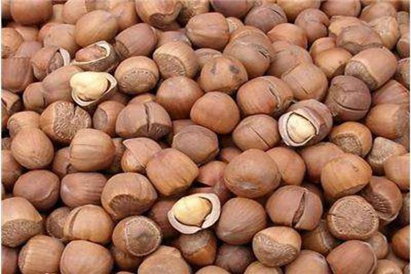 榛子的功效与作用,四个女人吃榛子的营养价值