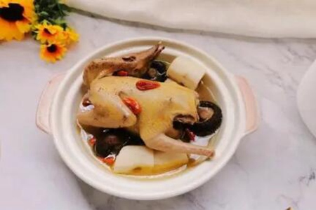 鸽子汤的功效与作用,这五个功效缓解疲劳延缓衰老
