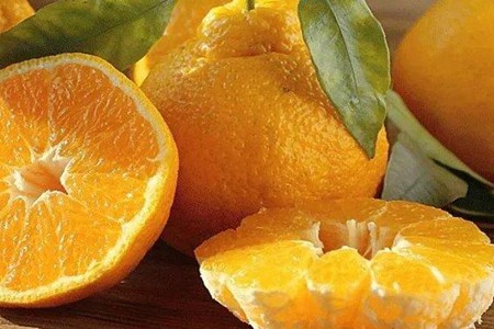 丑橘的功效与作用，这四个女人吃丑橘的营养价值