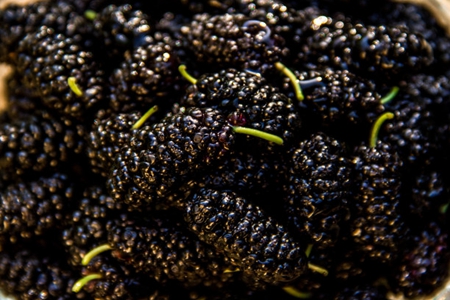 桑葚的功效与作用,这三个桑葚禁忌与副作用