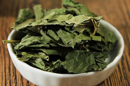 桑叶茶的功效与作用,这五个女人喝桑叶茶的好处