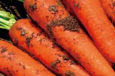 熬夜吃什么？这五个食物缓解熬夜后遗症