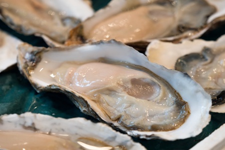 牡蛎的功效与作用,这五个生蚝的功效和好处