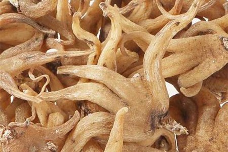 佛手的功效与作用,这五个佛手药用价值美容养颜